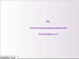 Sites similar to bursluluksinavi.com
