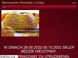 Sites similar to bursztynowemarzenia.pl