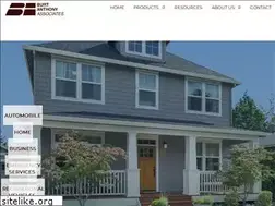 Sites similar to burtanthonyins.com