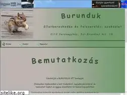 Sites similar to burunduk.click.hu