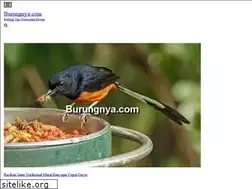 Sites similar to burungnya.com