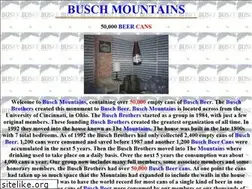 Sites similar to buschmountains.com