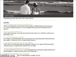 Sites similar to bushconsulting.com