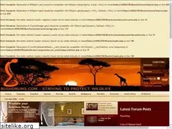 Sites similar to bushdrums.com