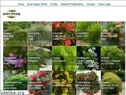 Sites similar to bushmagik.com