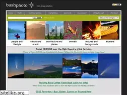 Sites similar to bushphoto.com