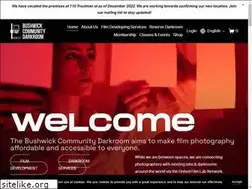 Sites similar to bushwickcommunitydarkroom.com