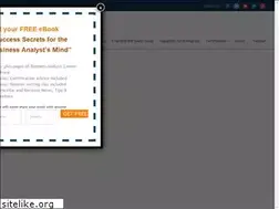 Sites similar to business-analysis-excellence.com