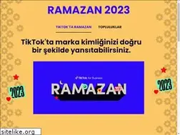 Sites similar to business-tiktok.com