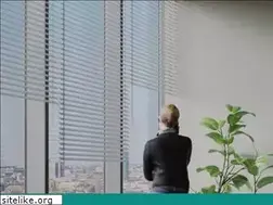 Sites similar to businessgarden.rs