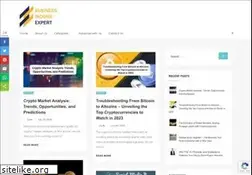 Sites similar to businessincomeexpert.com