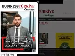 Sites similar to businessturkiye.com.tr