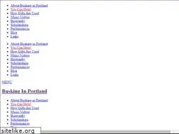 Sites similar to buskinginportland.com