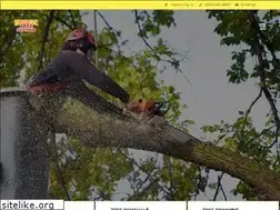 Sites similar to buskirktree.com