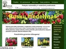 Sites similar to buskumedelynas.lt