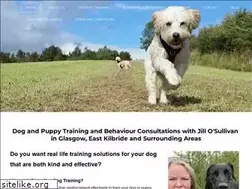 Sites similar to busybeedogtraining.co.uk