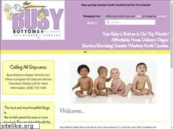 Sites similar to busybottomsdiaperservice.com