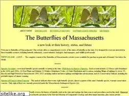 Sites similar to butterfliesofmassachusetts.net