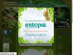 Sites similar to butterfly-insect.com