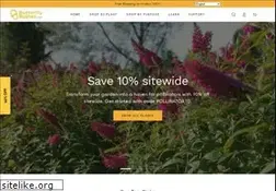 Sites similar to butterflybushes.com