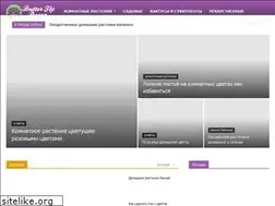 Sites similar to butterflydecor.ru