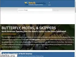 Sites similar to butterflyidentification.org