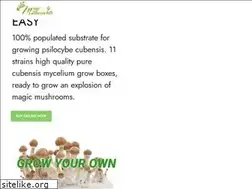 Sites similar to buy-magic-mushroom-kits.com