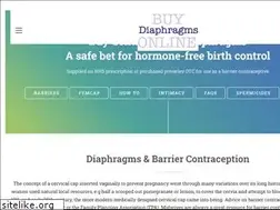 Sites similar to buydiaphragms.com