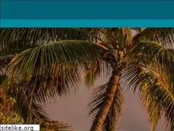 Sites similar to buyplaya.com
