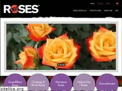 Sites similar to buyroses365.com