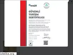 Sites similar to buyukadaprincesshotel.com.tr
