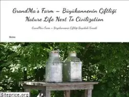 Sites similar to buyukanne.com