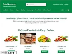 Sites similar to buyukannem.com