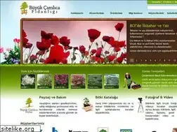 Sites similar to buyukcamlicafidanligi.com