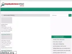 Sites similar to buyukcekmecerehberi.net