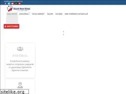 Sites similar to buyuknesilkoleji.com