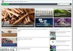 Sites similar to buyuknet.com