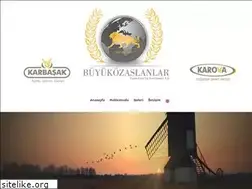 Sites similar to buyukozaslanlarun.com