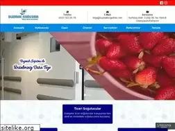Sites similar to buzmaksogutma.com