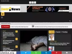 Sites similar to buzznews.com.ng