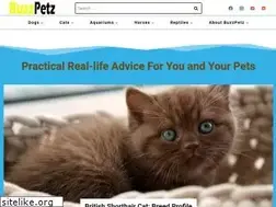 Sites similar to buzzpetz.com