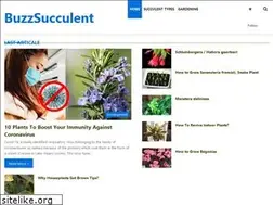 Sites similar to buzzsucculent.com
