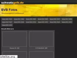 Sites similar to bvb-fotos.de