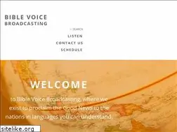Sites similar to bvbroadcasting.org