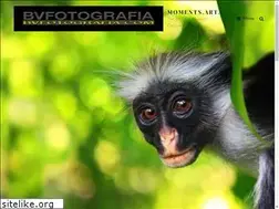 Sites similar to bvfotografia.com