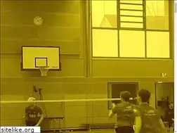 Sites similar to bwbv.de
