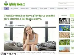 Sites similar to bylinkydnes.cz