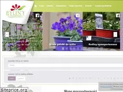 Sites similar to bylinyolsztyn.pl