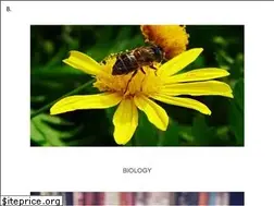 Sites similar to bytombay.pl