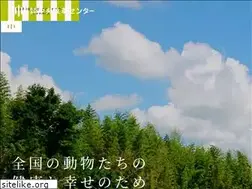 Sites similar to c-bokuso.co.jp